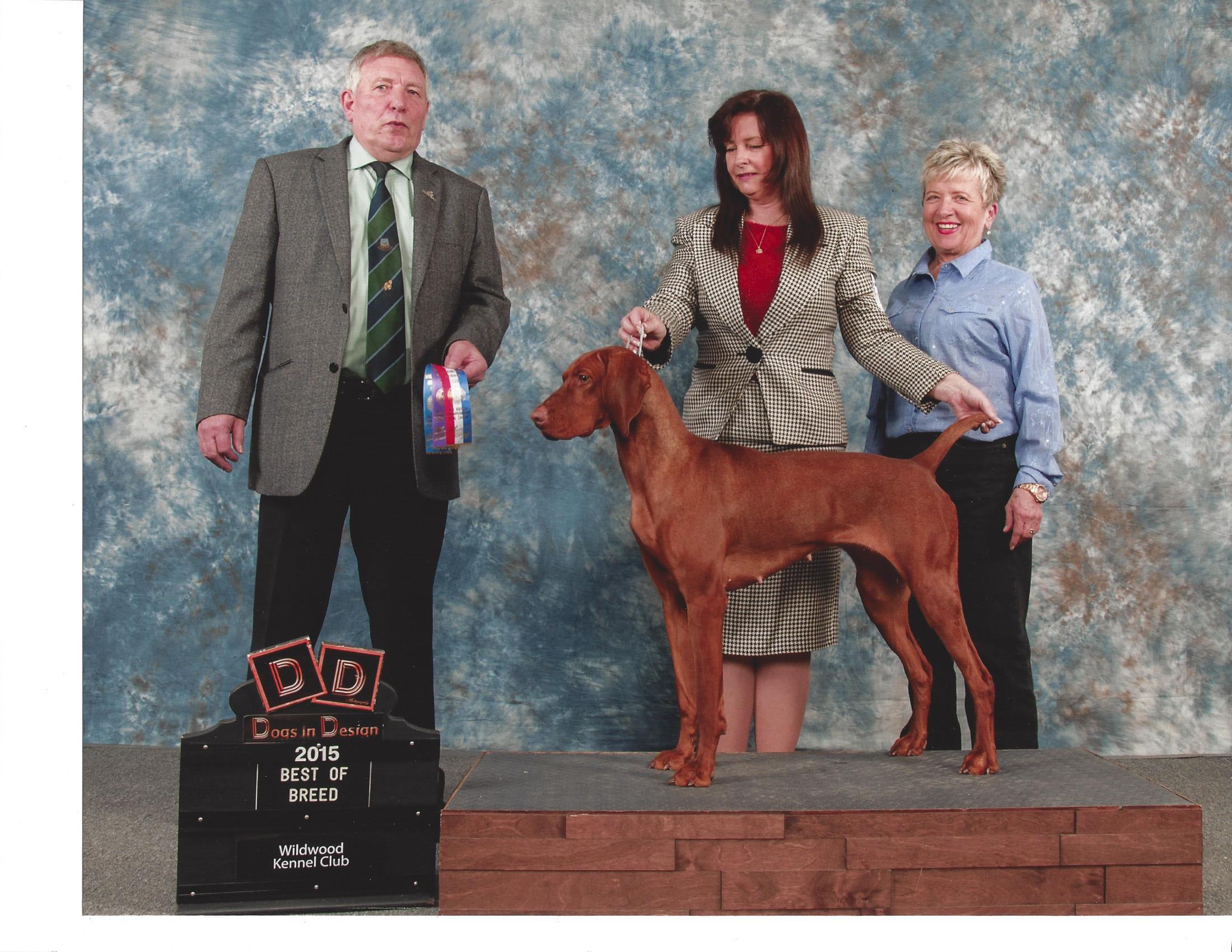 Gracie winning Best of Breed at Wildwood 